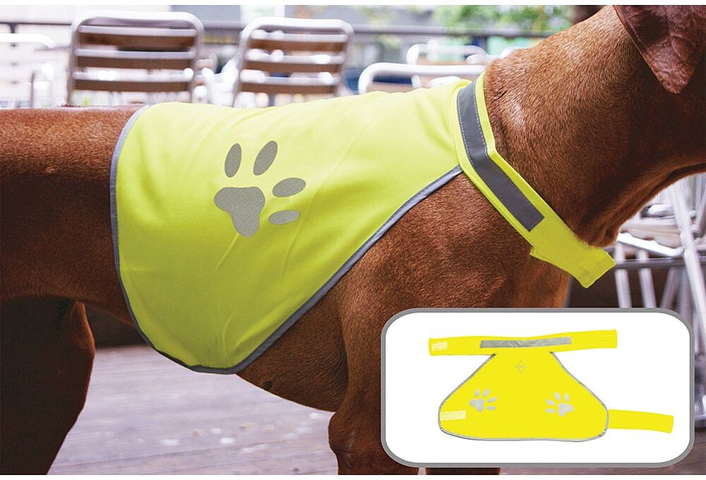Dogest Colete de alta visibilidade para cão KX590015