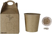Vaso Vencor Cartão Reciclado Sementes de Pinheiro Incluídas 2765