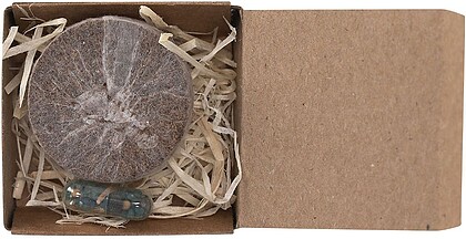 Pack Plantável Aquael Cartão Reciclado Flores silvestres 2768