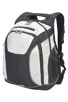 5824 : Toronto Laptop Backpack : COL : One