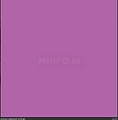 Craft Roll PS Film A0062 Radiant Orchid 300mm x 1,0m