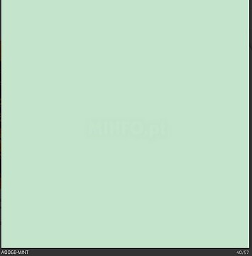 PS Film A0068 Mint 500mm x 15m