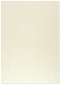 17205906/UN Cartolina 50x65cm Cinzento 9 180g 1 Folha