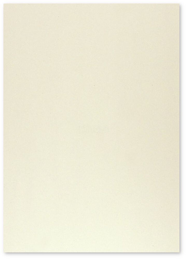 Cartolina 50x65cm Cinzento 9 250g 1 Folha 17205965/UN