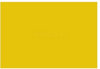 Cartolina 180gr 1 Folha 50x65cm Amarelo Ocre