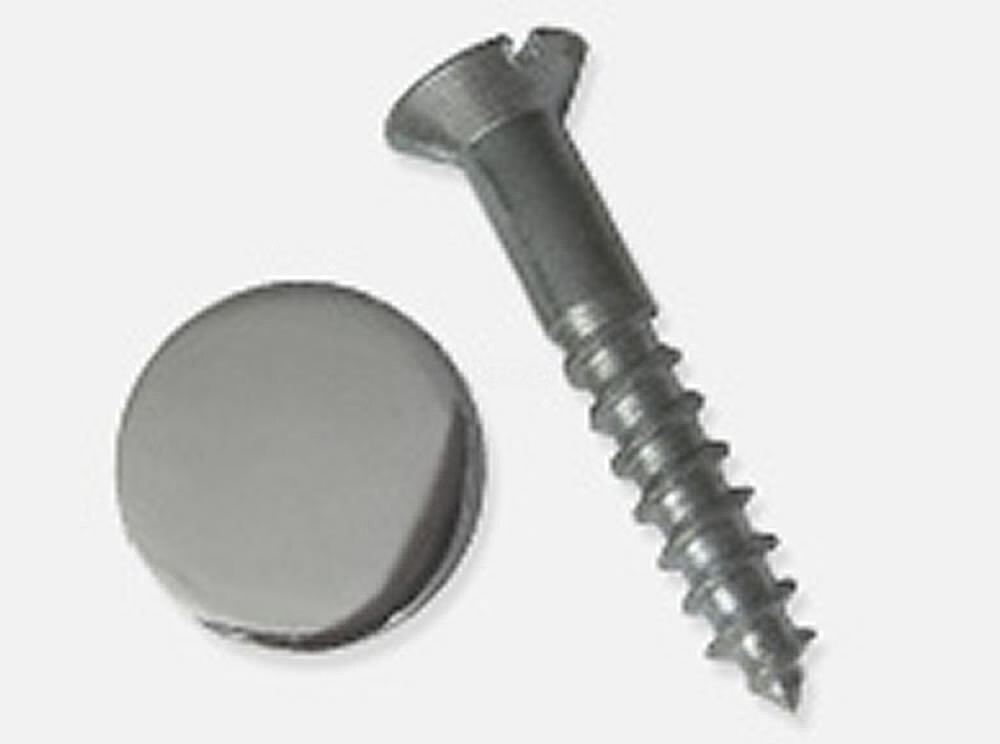 Miniplex - Parafuso 40mm (emb.4 unidades) - c/ Tampa Metal roscar - PRATA BRILHANTE