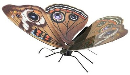 MMS124 : MAQUETA 3D METAL FASCINATIONS MARIPOSA BUCKEYE MONTAGEM SEM COLA NEM SOLDA