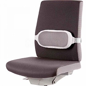 Cojín Lumbar Fellowes I-Spire - Cinta Ajustável - Fabricad...