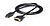 Startech Adaptador DisplayPort a DVI 1.8m DP2DVI2MM6 - imagem 1