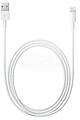Apple - Cabo Lightning - USB (1 m) SS41874