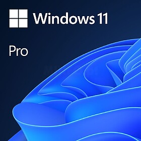 4YR-00316 : Win 11 Pro GGK 64Bit Eng Intl 1pk DSP ORT OEI DV...