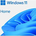 LICENÇA ESD em Windows Home 11 64-bit All Lng PK Lic Online DwnLd NR KW9-00664