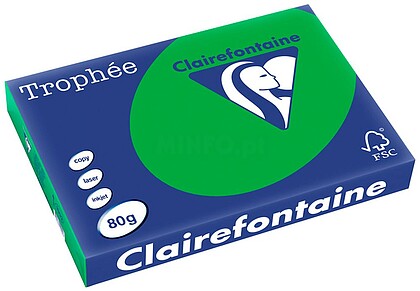 1992C : Papel cor trophee a3 80 gr verde intenso embalagem de 500 folhas Papel cor trophee a3 80 gr verde intenso embalagem de 500 folhas