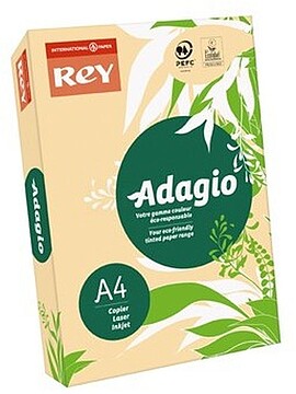 Papel Fotocopia Adagio(cd08) A4 80gr Salmao 1x500Fls