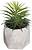 Planta Decorativa com Copo 7X14CM Modelos Surtidos - imagem 1