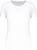 T-shirt de desporto de senhora Triblend com decote redondo PA4021 - imagem 1