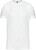 T-shirt decote redondo de manga curta K3012 - imagem 1