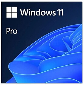 FQC-10572 : Microsoft Windows 11 Pro 64b ESD