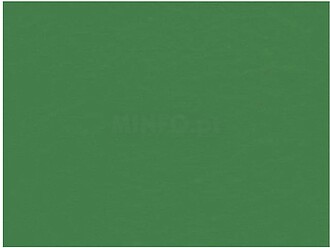 Papel Seda Verde Escuro 50x75cm 25fls Papel Seda Verde Escur...
