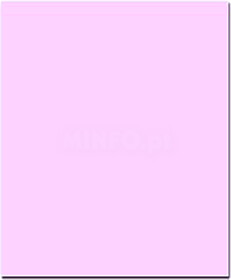 17205990/UN : Cartolina 250gr 1 folha 50x65cm Rosa (CLA 7)Ve...