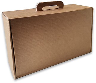 Caixa Auto-Montável C/Pega 345x197x093mm Cartão Simples Ca...