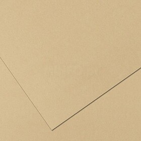 17205922/UN : Cartolina 180gr 1 folha 50x65cm Baunilha Escur...