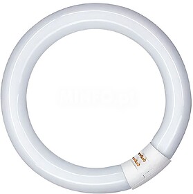 G-31116 31116 TUBO FLUORESCENTE CIRCULAR 40W, G10Q, 6500 K L...