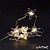 Grinalda 10 LEDs Estrela Arame 2xAA 1m ENTAC ECL-PS-10WW - imagem 1