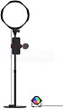 JOBY Beamo Studio Creator Kit Kit de estúdio em casa YouTube tudo-em-um com luz LED, luz de fundo e microfone JB01835