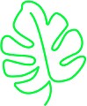 Candy Shock - Led Sign 40 Leaf (green) SS54670