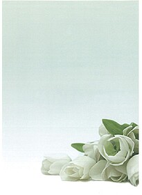 Papel Temático Flor Branca A4 90g 20 Folhas Papel Temático...