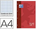 Recarga Cor Oxford Din A4 80 Folhas 90 Grs Quadricula 5 MM 4 Furos Vermelho 100103460