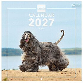 Finocam Cães Calendário de Parede Internacional - 16 Meses...