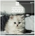 Finocam Gatitos Calendário de Parede - 16 Meses 26/27 - Vista Mensal - 300x300mm - Papel de 170g/m2 - Imagens Temáticas Variadas - Espaço para Notas 780303827