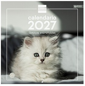 Finocam Gatitos Calendário de Parede - 16 Meses 26/27 - Vis...