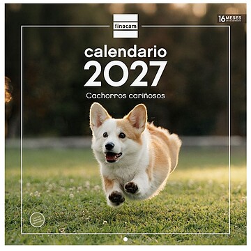 Finocam Calendário de Parede para Cães - 16 Meses 26/27 - Vista Mensal - 300x300mm - Papel de 170g/m2 - Imagens Temáticas Variadas - Espaço para Notas 780303727