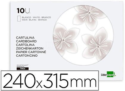 TM14 : Bloco trabalhos manuais liderpapel cartolina 240x315mm 10 folhas cor branco Bloco trabalhos manuais liderpapel cartolina 240x315mm 10 folhas cor branco