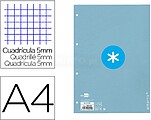 Recarga a4 antartik 80 folhas 90g/m2 quadricula 5mm 4 furos 1 banda com moldura cor celeste