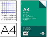 Recarga Liderpapel A4 100 Folhas 100 G/M2 QUADRICULA5 MM sem Margen 4 Furos Bandas de 5 Cores RE05