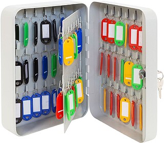 G-88169 : 88169 ARMARIO PARA 60 LLAVES CON GANCHOS FIJOS, 18...