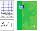 Recambio Escolar Oxford Clássico Encolado A4 80 Folhas Quadriculadas 5x5 - Recorte da Cor da Capa - Capa Verde 400123674
