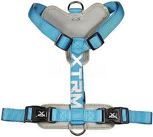 06948 ARNES X-TRM CRONOS NEÓN FLASH 35-60X1.5CM AZUL NAYECO