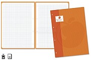 Golden Extra Recarga de 80 Folhas 90gr Quadriculado 4x4 - Formato A4 - 4 Furos e Banda de Cor Laranja GO323828