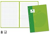 Golden Extra Recarga de 80 Folhas 90gr Quadriculado 4x4 - Formato A4 - 4 Furos e Banda de Cor Verde GO323832
