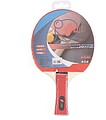 Raquete de Ping Pong Eqsi