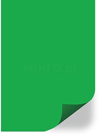 1731110 : Acetato Encadernacao Opaco Verde 500 microns A4 Cx...