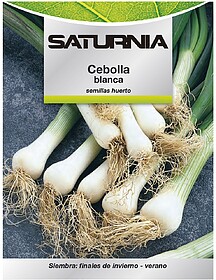 Sementes Cebola Branca (4 gramas) Sementes Vegetais, Horticu...