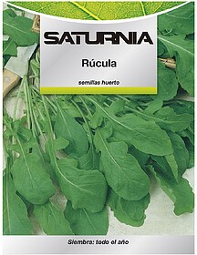 Sementes Rúcula (9 gramas) Sementes Vegetais, Horticultura,...