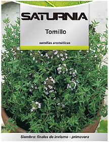 Sementes Aromáticas Tomilho (1 gramo) Horticultura, Hortíc...