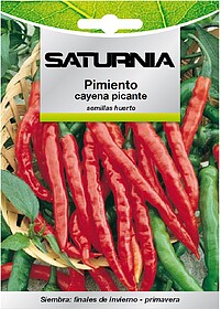 Sementes de Pimento Caiena Picante (1.5 gramas) Sementes de ...